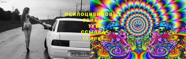 дмт Верея